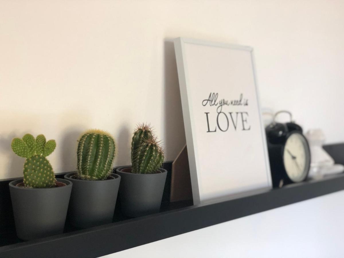 Apartman Spring Sombor Exteriér fotografie